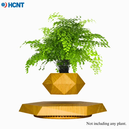 Levitating Plant Pot